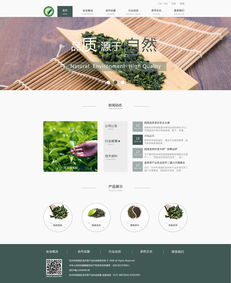 当代网站设计的艺术与科学 打造卓越用户体验的关键“全案”方案